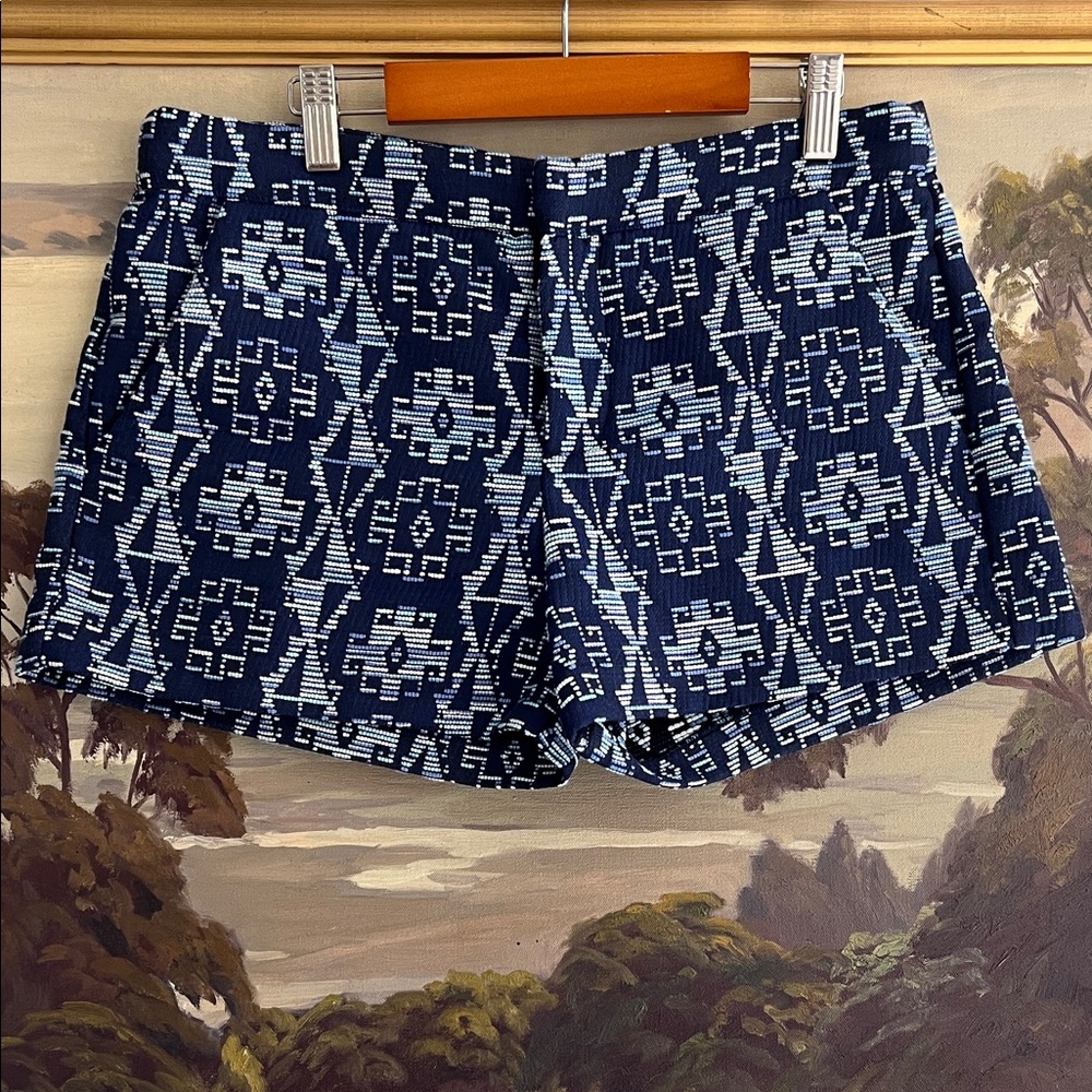 Parker Blue Patterned Shorts Size 8